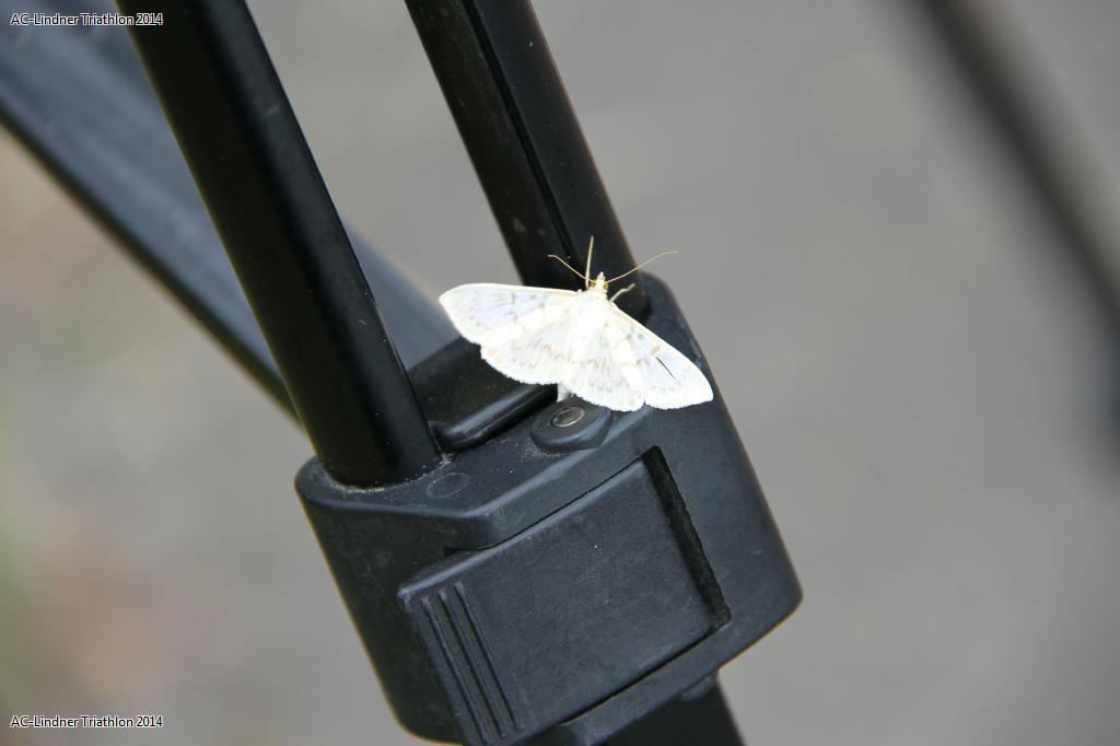 0737_13ter Triathlon.jpg