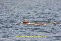 k-141_12ter Triathlon 2013.JPG