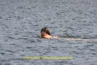 k-147_12ter Triathlon 2013.JPG