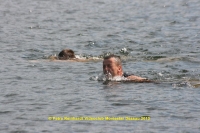 k-152_12ter Triathlon 2013.JPG