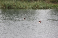 0107_9ter Triathlon.JPG