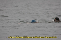 IMG_7227 - Kopie.jpg