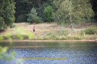 IMG_7637.JPG
