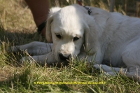 k-347_12ter Triathlon 2013.JPG