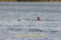 k-135_12ter Triathlon 2013.JPG