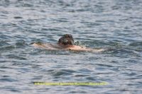 k-150_12ter Triathlon 2013.JPG