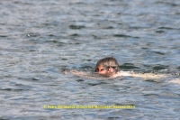 k-160_12ter Triathlon 2013.JPG