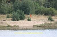 k-211_12ter Triathlon 2013.JPG