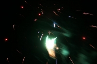 IMG_7531.JPG